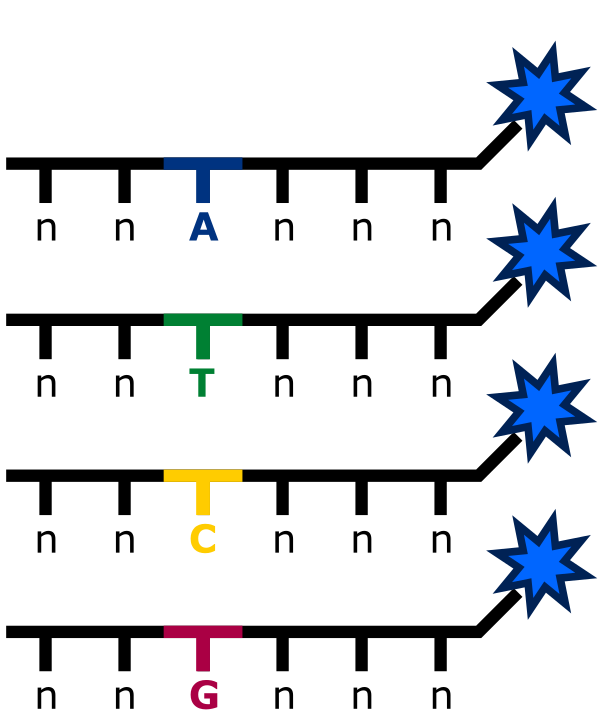 degen_probes.png