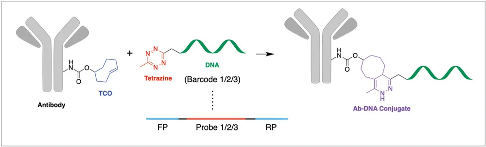 Quantification%20of%20Extracellular%20Vesicles/6c2ccbd4-860f-4bd1-b2b1-280ab2ab0e0f.png
