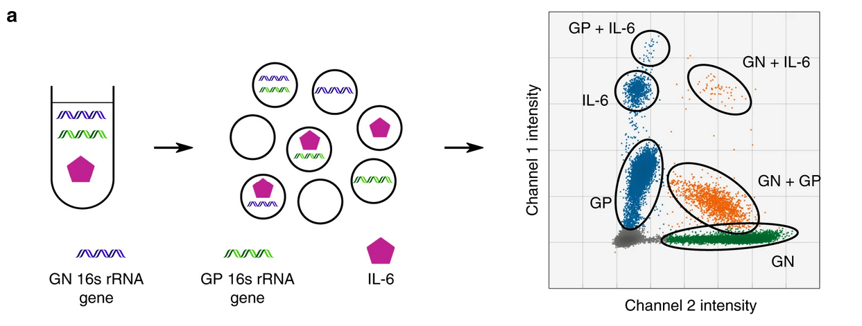 dPLA_bacteria.png