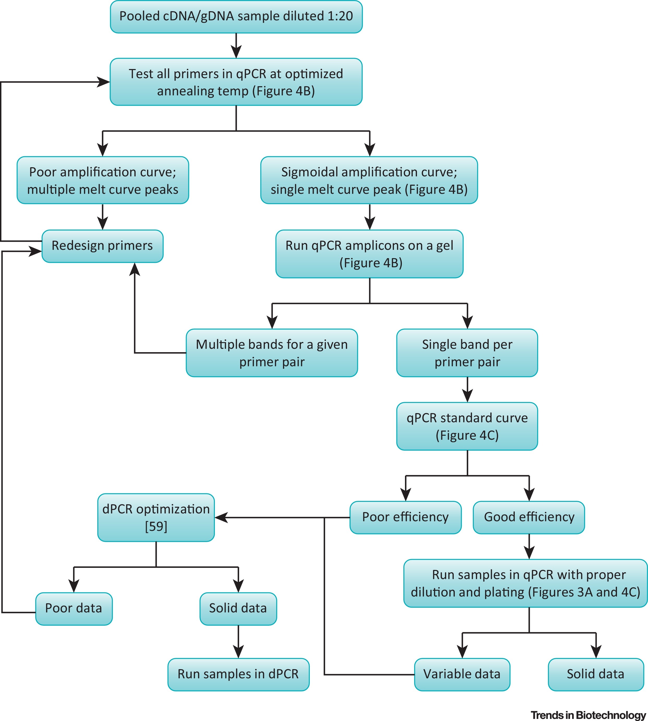 figure6ge.jpg